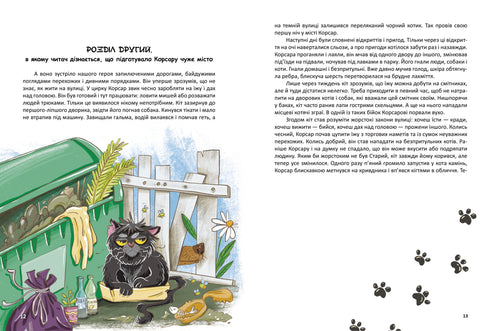 Corsair, or a Fluffy Tale with Claws