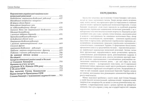 Perspectives de la révolution ukrainienne