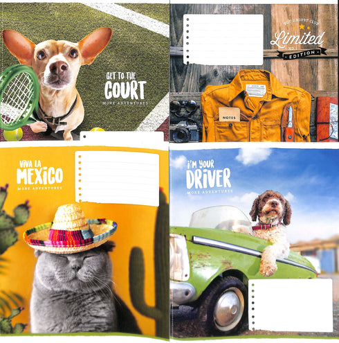 Quaderno a righe 18 fogli. /diversi motivi sulla copertina/