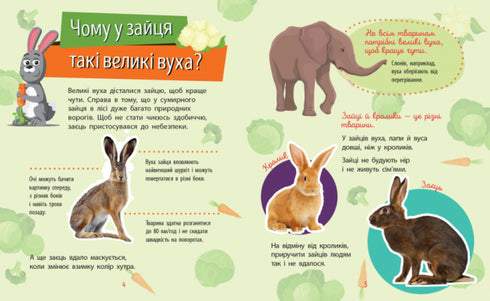 Pourquoi es-tu si mignon ? Animaux