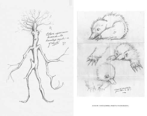 Phantastische Tierwesen. Dumbledores Geheimnisse. Originaldrehbuch