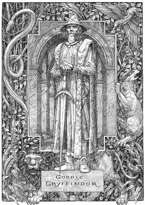 Harry Potter e la pietra filosofale. Edizione Grifondoro - 9786175852897