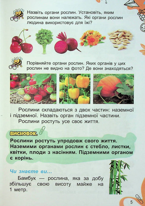 Esploro il mondo. Libro di testo 1a elementare cap2 2023 (NUSH) - 9789661109246