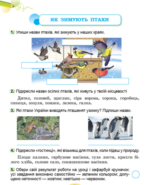 Ich erforsche die Welt. Arbeitsheft für den integrierten Kurs der 2. Klasse Teil 2 2025 NUS - 9786178370060