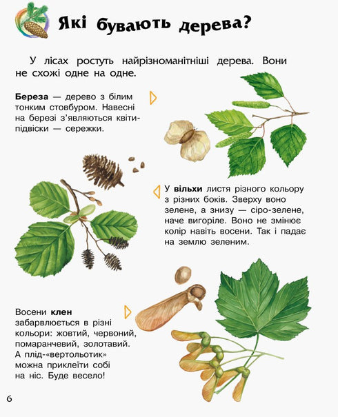 Encyclopedia of the Preschooler. Forest