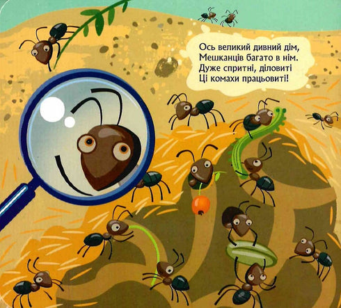 Chi si è nascosto sotto terra