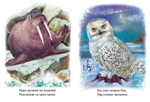 Les enfants sur les animaux. Les animaux du monde