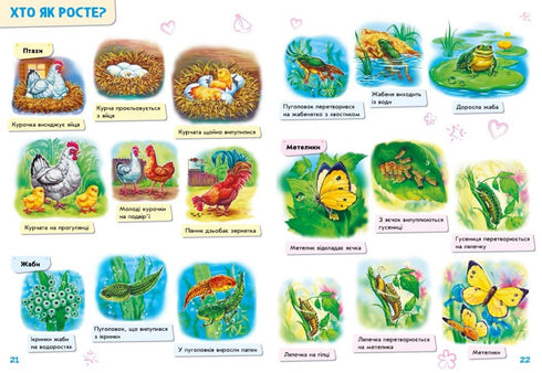 Babys über alles auf der Welt