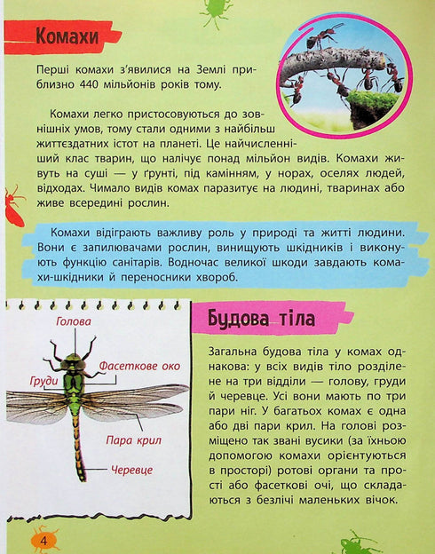 Mini-encyclopédie. Insectes et araignées