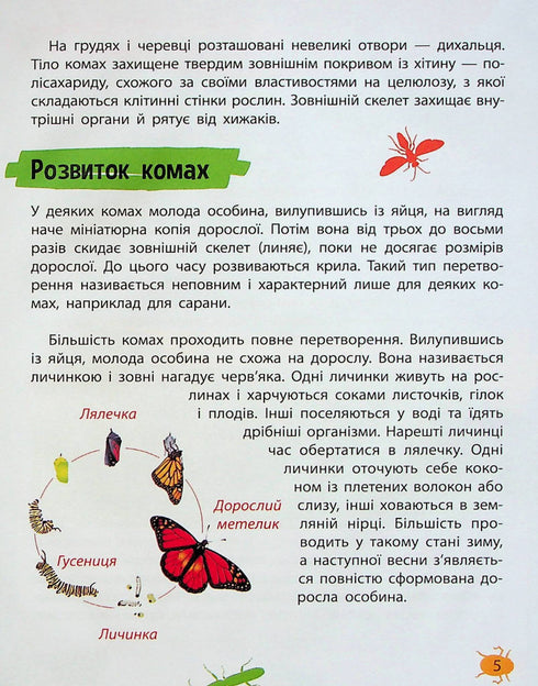 Mini-encyclopédie. Insectes et araignées