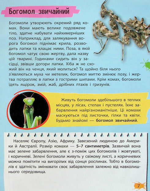 Mini-encyclopédie. Insectes et araignées
