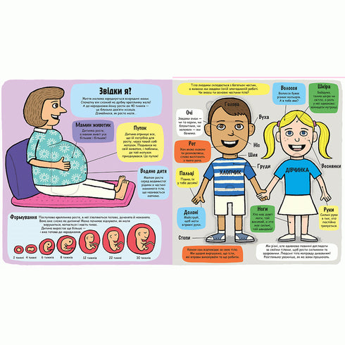 Mein toller Körper. Kleine Entdecker