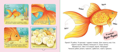 Mes favoris - 9789667511920