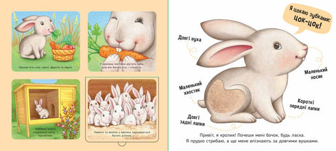 Alla fattoria - 9789667511937