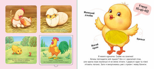 Alla fattoria - 9789667511937