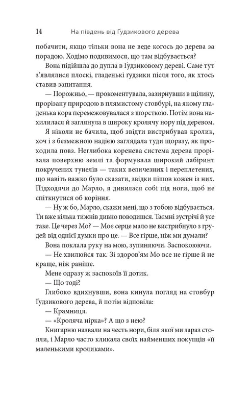 South of the Buttonwood Tree