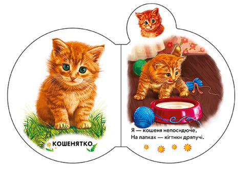 На подвір'ї