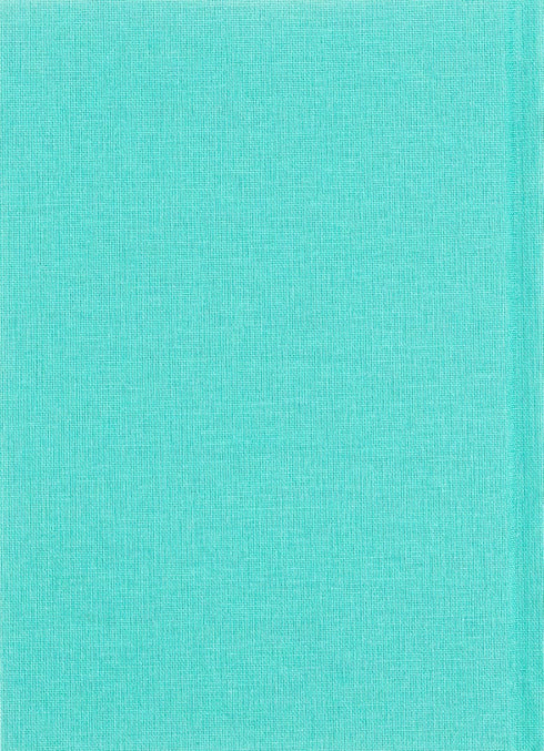 Sulla riva d'argento - 9786175850411