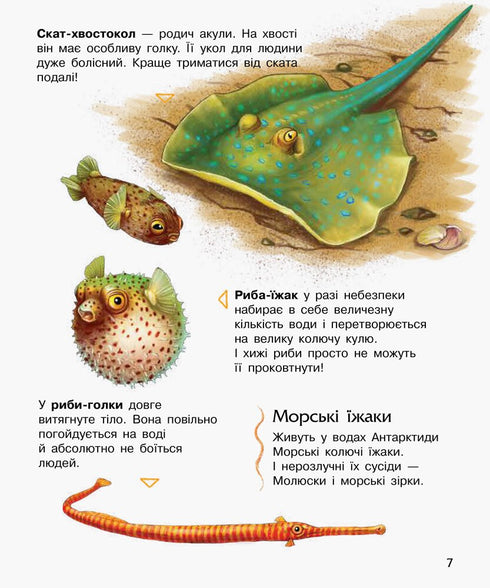 Ozeane und Meere - 9786170993489