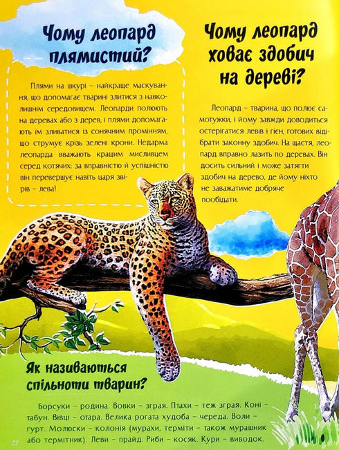 À propos de tout dans le monde. Réponses aux questions