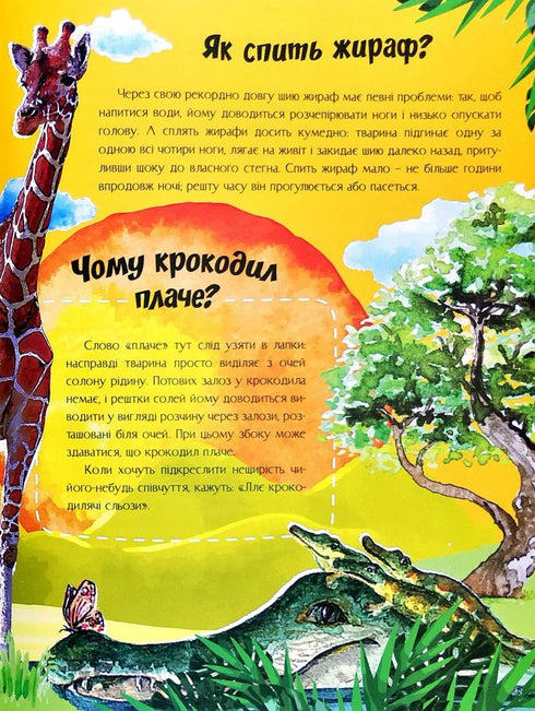 À propos de tout dans le monde. Réponses aux questions