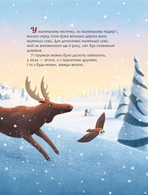 Weihnachts-Eule : Basierend auf der wahren Geschichte der kleinen Eule Rockefeller - 9789661091978