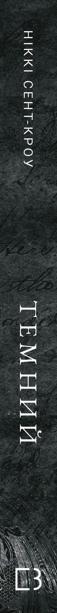 Les garçons perdus libertins. Livre 2 : Sombre - 9786175483534