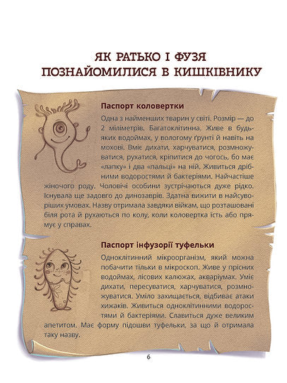 Was am Ende passiert: Wohin verschwinden die Kokons?