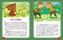 Kangaroo School. My First Reading. Reading in Turns