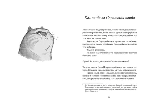 Ein echter Kater