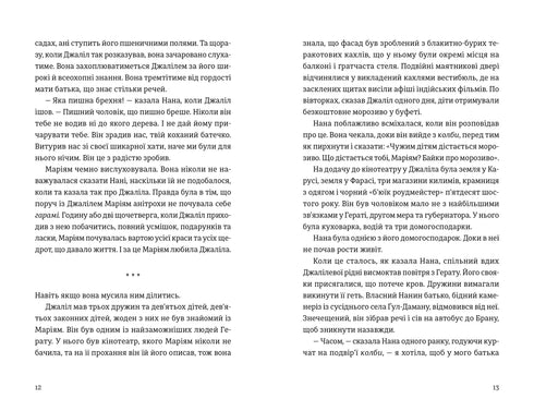 Tausend strahlende Sonnen - 9789664484852