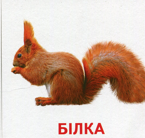 Tiere und Vögel der Ukraine