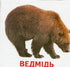 Tiere und Vögel der Ukraine