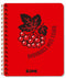 Ricamo dei miei piani: Quaderno rosso - G1721004У