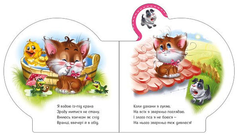 Все про кошенятко