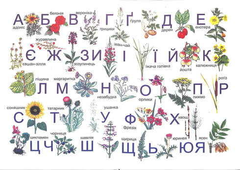 Alphabet. Manuel pour la 1ère classe