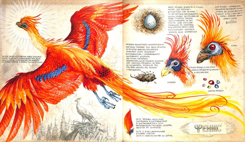 Harry Potter und die Kammer des Schreckens. Große illustrierte Ausgabe. Buch 2 (Ukrainische Ausgabe)