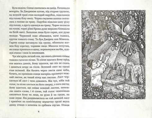 Mykola Dzherya : roman