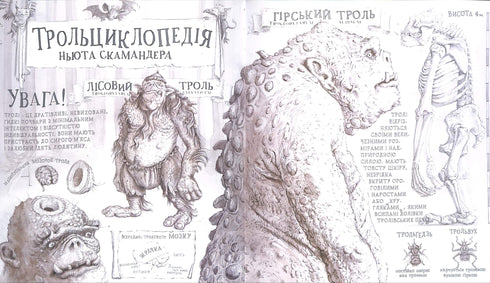 Harry Potter e la pietra filosofale. Una grande edizione illustrata. Libro 1 (edizione ucraina)
