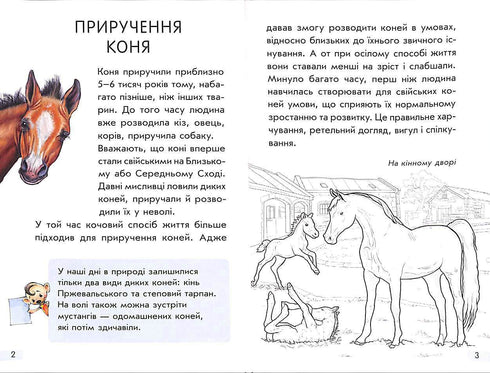 Mini enciclopedie. Tutto sui cavalli (fuori catalogo)