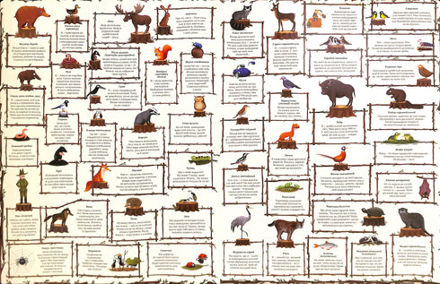 Un anno nella foresta