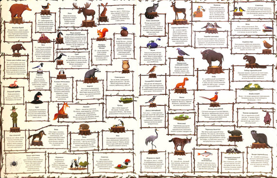 Un anno nella foresta