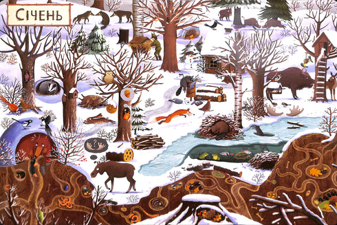 Un anno nella foresta