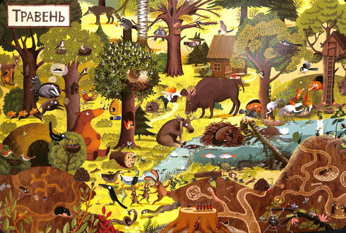 Un anno nella foresta