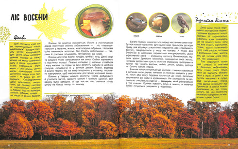 Le monde et ses mystères : La vie de la forêt