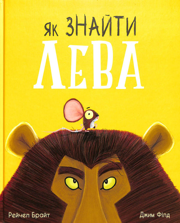 Comment trouver un lion ?