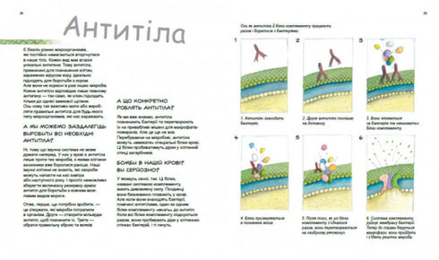 Heroes and villains in our body