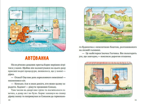 Le avventure del gatto Boris (esaurito)