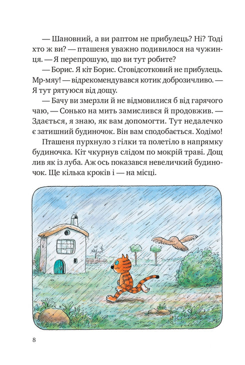 Le avventure del gatto Boris (esaurito)