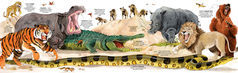 Großes Buch der Tiere